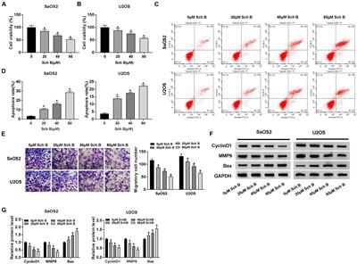 Schisandrin B Inhibits Cell Viability and Migration, and Induces Cell Apoptosis by circ_0009112/miR-708-5p Axis Through PI3K/AKT Pathway in Osteosarcoma